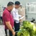BENGKULU – Petugas dapur Lembaga Pemasyarakatan (Lapas) Kelas IIA Bengkulu melakukan pemeriksaan fisik terhadap bahan makanan yang akan diolah untuk kebutuhan konsumsi harian Warga Binaan Pemasyarakatan (WBP), Rabu (22/10). Kegiatan ini menjadi rutinitas penting untuk memastikan seluruh bahan makanan yang diterima memenuhi standar kesegaran, kelayakan, dan jumlah sesuai kebutuhan.
