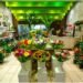 Rental Bunga Surabaya Nursahira