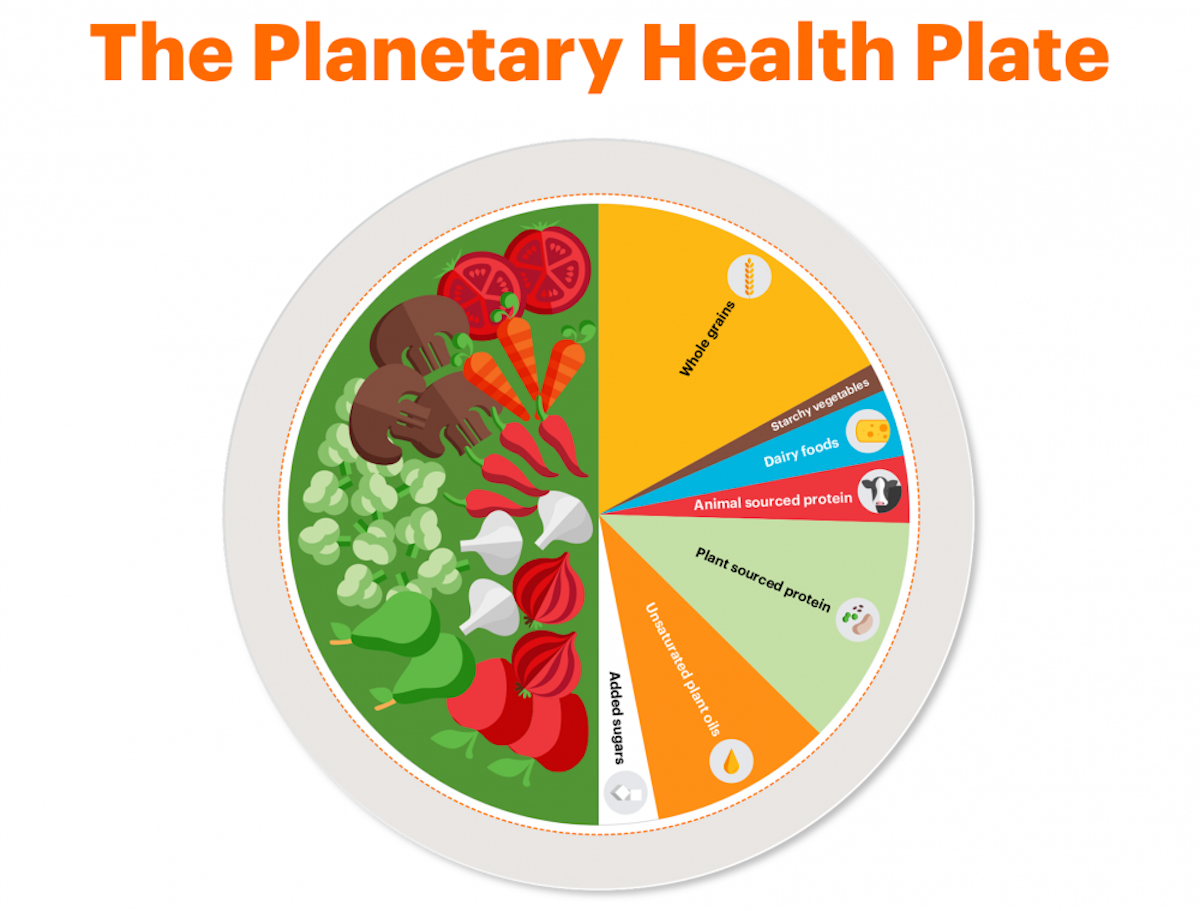 Planetary Health Diet: Pilihan Pola Makan untuk Tubuh Sehat dan Bumi Terjaga 47 357d658aafeccbfb94383429755cc8ac 1