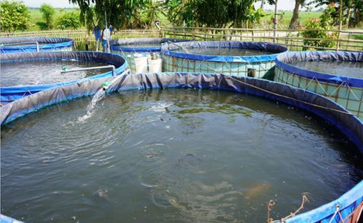 4f8f2f64f77677cd52a3b4ca0f366794