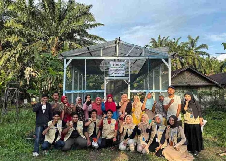 Pengenalan Apotik Hidup pada Masyarakat 46 Apotik Hidup