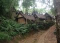 Baduy 1