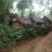 Baduy 1