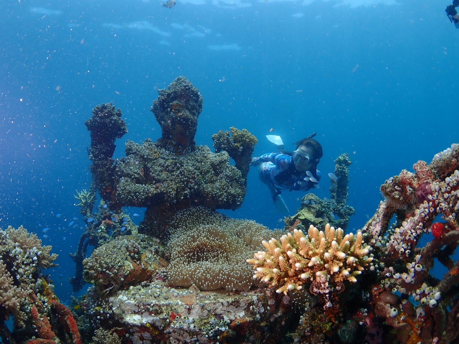 Foto: Biorock, konservasi terumbu karang buatan