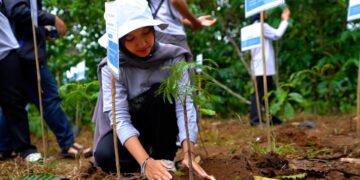 Darihulunutukhidupmu penanaman 1