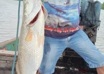 FB IMG 1764428387512