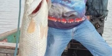 FB IMG 1764428387512