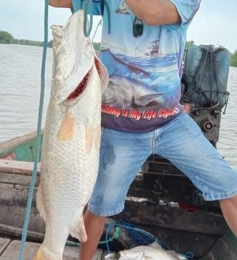 FB IMG 1764428387512