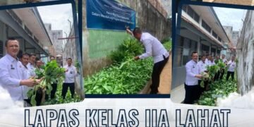 lapas lahat panen raya sayur