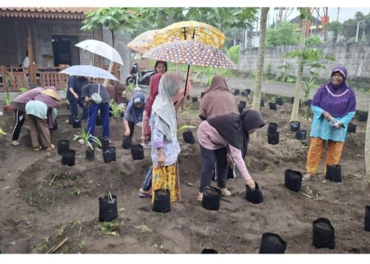 “Peserta Sekolah Lansia Kalimas Ayu mempraktikan cara menanam tanaman empon-empon seperti jahe dan kunyit dalam kegiatan edukasi herbal yang digelar mahasiswa Pendidikan Nonformal UNY.”