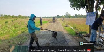 IMG 20251103 WA0017
