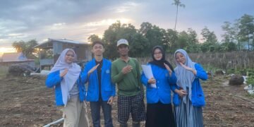 Tomat