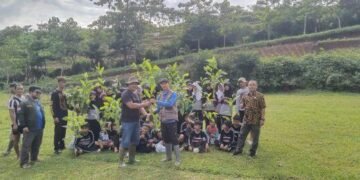 Sinergitas Penyuluh Kehutanan Kecamatan Kadipaten Berkolaborasi Dalam Program Jum'at Menanam 30 IMG 20251107 WA0040