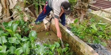 IMG 20251110 WA0026