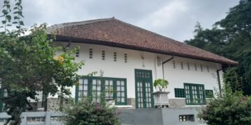 IMG 20251110 WA0170