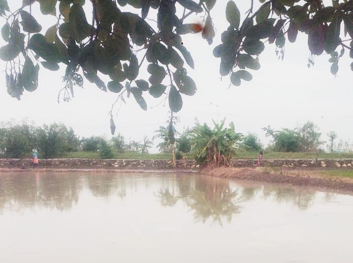 Curah Hujan yang Extrem