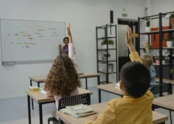 IMG 20251117 WA0028 1