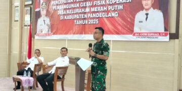 IMG 20251119 WA0244