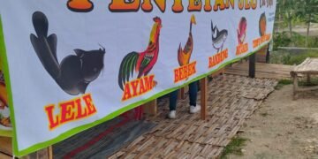 IMG 20251120 WA0034 1