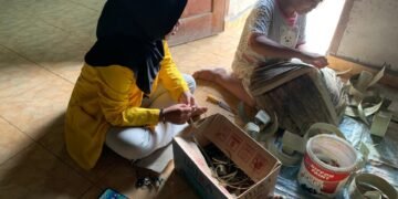 IMG 20251125 WA0036