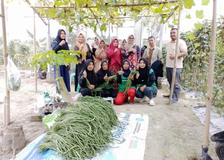 KWT Desa Bumi Kencana Tingkatkan Pemberdayaan Perempuan Lewat Pertanian Terstruktur 46 IMG 20251126 WA0058