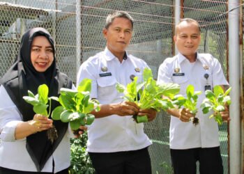 Lapas Bengkulu, Jimmy Andreas, Kaur Umum Lapas Bengkulu, Sarana Edukasi dan Asimilasi, Gedung Giatja, Panen Pakcoy, Warga Binaan, Pembinaan Kemandirian, Pertanian Lapas, Program Asimilasi, Bengkulu Correctional Institution, Productive Rehabilitation