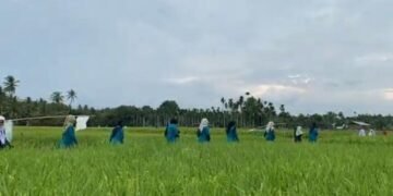 UIN Sultanah Nahrasiyah Lhokseumawe