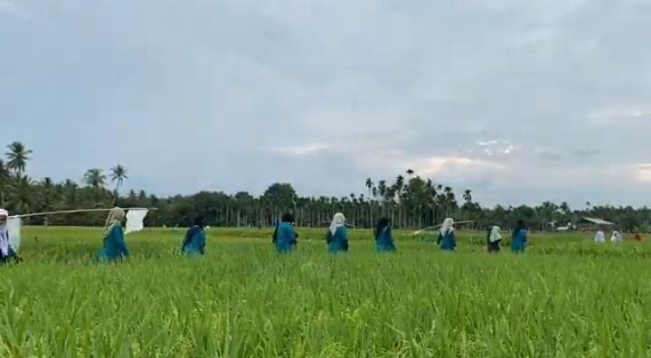 UIN Sultanah Nahrasiyah Lhokseumawe