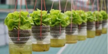 Tanaman Hidroponik sistem sumbu
Sumber gambar: Pinterest/ Saskia Fiolet