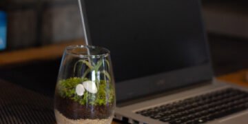Terrarium.qu sebagai Produk Dekorasi Ruangan Hijau yang Memadukan Harmoni Lingkungan, Alam, dan Budaya. (https://www.instagram.com/terrarium.qu)