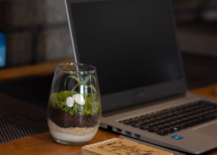 Hadirkan Hutan ke Dalam Ruangan, Inovasi Mahasiswa UNY Ini Lolos Pendanaan P2MW dari Kemdiktisaintek! 46 Terrarium.qu sebagai Produk Dekorasi Ruangan Hijau yang Memadukan Harmoni Lingkungan, Alam, dan Budaya. (https://www.instagram.com/terrarium.qu)