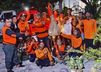 {"remix_data":[],"remix_entry_point":"challenges","source_tags":[],"origin":"unknown","total_draw_time":0,"total_draw_actions":0,"layers_used":0,"brushes_used":0,"photos_added":0,"total_editor_actions":{},"tools_used":{"transform":1},"is_sticker":false,"edited_since_last_sticker_save":true,"containsFTESticker":false}