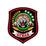 GIBAS UPDATE