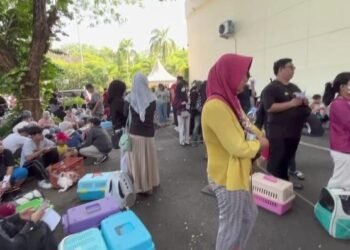 Screenshot 20251014 120154 WhatsApp