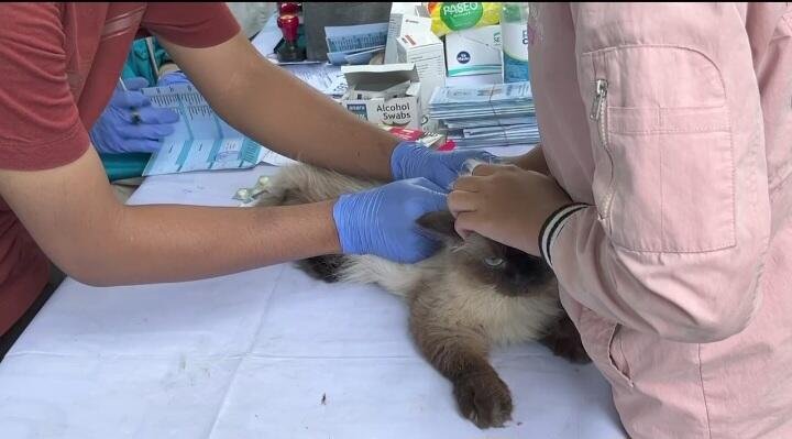 Screenshot 20251014 120241 WhatsApp