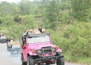 Screenshot 20251124 112120 Gallery