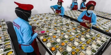 mbg Makan Bergizi Gratis