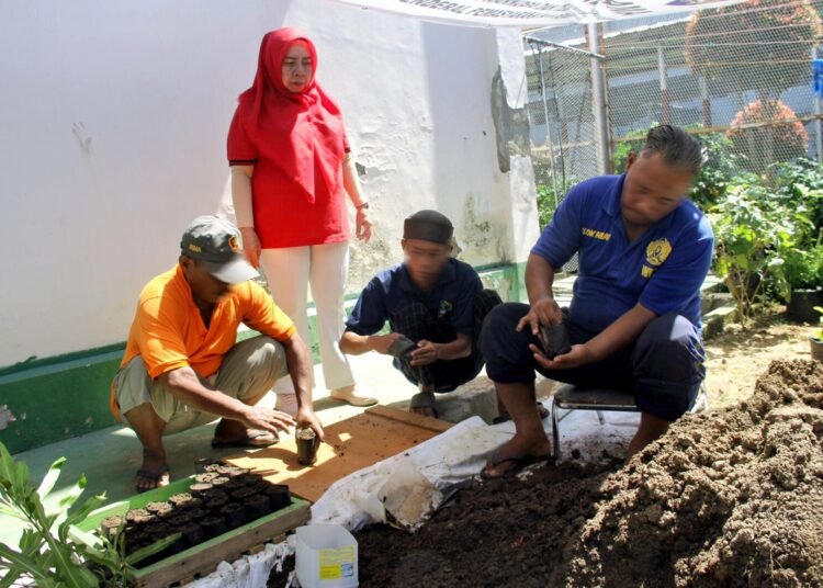 Lapas Bengkulu Dorong Kemandirian Melalui Pelatihan Pertanian 46 Lapas Bengkulu, Bengkel Kerja, Pembinaan Kemandirian, Bibit Terong, Bibit Cabai, Pertanian Lapas, Kegiatan Warga Binaan, Petugas Lapas Bengkulu, Kementerian Hukum dan HAM, Direktorat Jenderal Pemasyarakatan