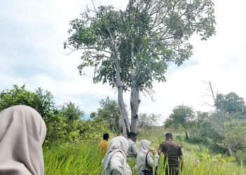 WhatsApp Image 2025 11 03 at 16.16.02 1