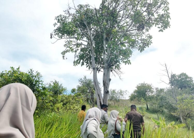 Kolaborasi Kantah dan Kejari Lhokseumawe: Tinjau Aset Terkait Eksekusi Sita di Gampong Paya Bili 46 WhatsApp Image 2025 11 03 at 16.16.02 1