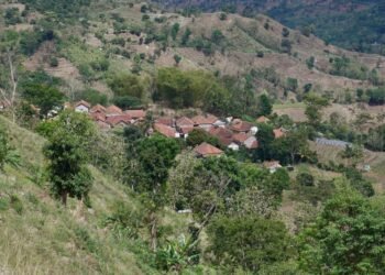 WhatsApp Image 2025 11 04 at 00.01.37