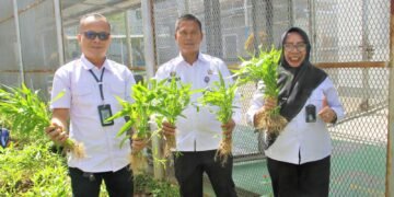 Lapas Bengkulu, Panen Kangkung, Pembinaan Kemandirian, Pemasyarakatan Produktif, Ketahanan Pangan, Giatja Lapas, Kemenimipas Bengkulu, Bengkulu