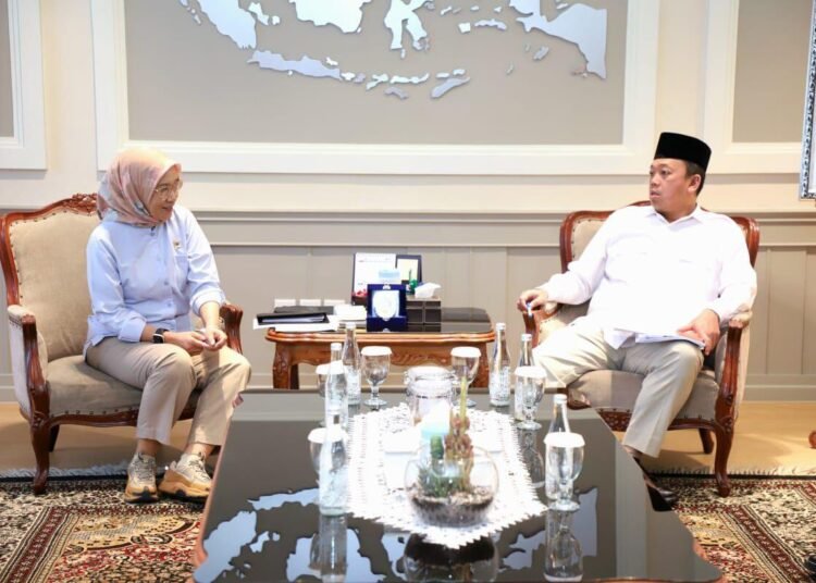 WhatsApp Image 2025 11 06 at 08.08.53