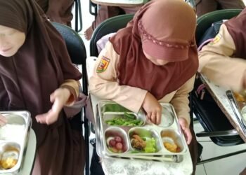 WhatsApp Image 2025 11 06 at 17.33.22