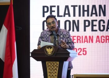 WhatsApp Image 2025 11 09 at 11.47.05