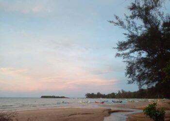 WhatsApp Image 2025 11 09 at 19.16.58 10cf2fef