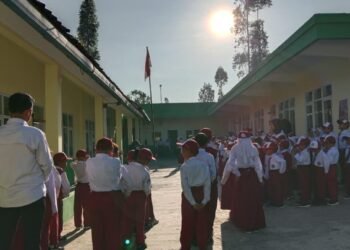 WhatsApp Image 2025 11 10 at 12.04.51