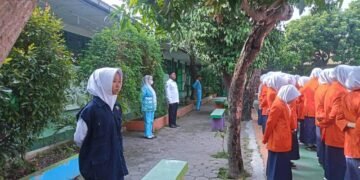 WhatsApp Image 2025 11 10 at 12.59.33