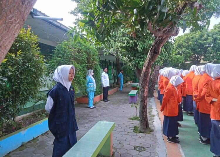 WhatsApp Image 2025 11 10 at 12.59.33