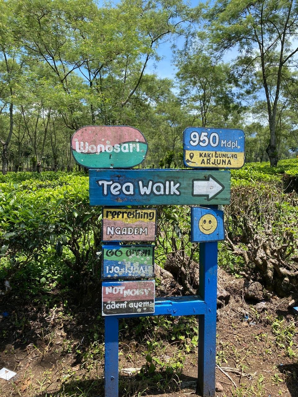 Siswa SD Muhammadiyah 1 Candi Eksplorasi Kebun Teh Wonosari Lawang dalam Visiting Program Edukatif 47 SD Muhammadiyah 1 Candi